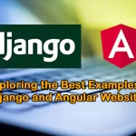 Best Examples of Django and Angular Websites